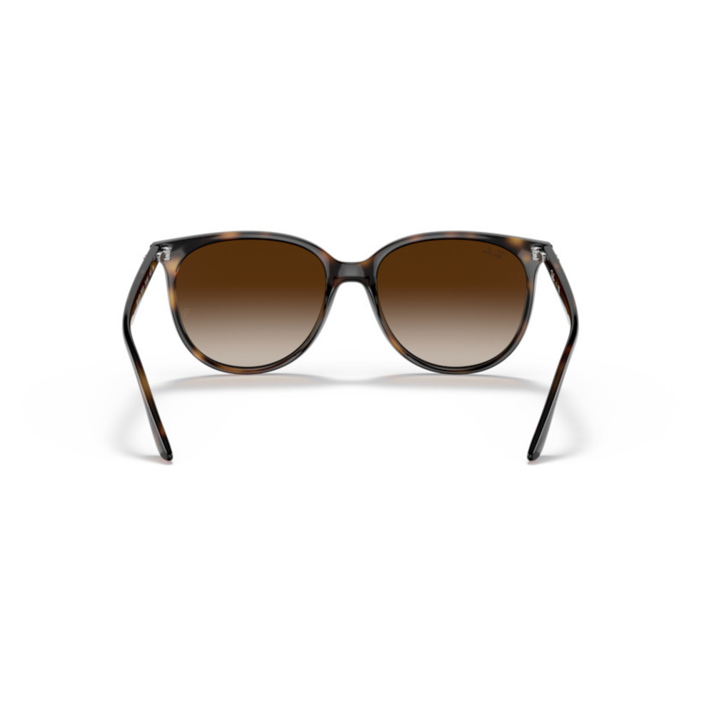 Ray Ban Sunglasses 0RB4378-710/13-54 Havana Frame Brown Lens Gradient - Picture 3 of 8